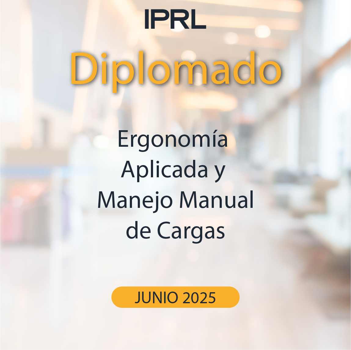 Diplomado en Ergonomía y Manejo Manual de Cargas